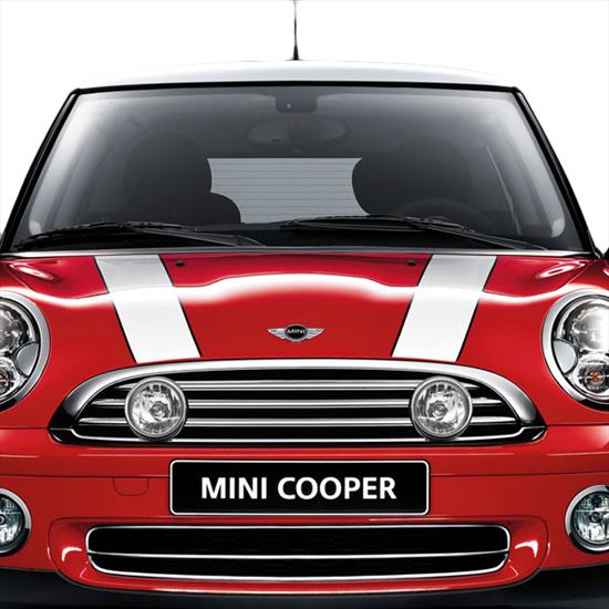 ShopMINIUSA.com: MINI Bonnet Stripes